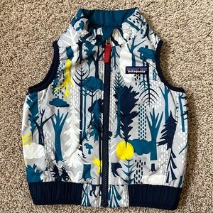 🏔️Reversible Patagonia Vest🦬